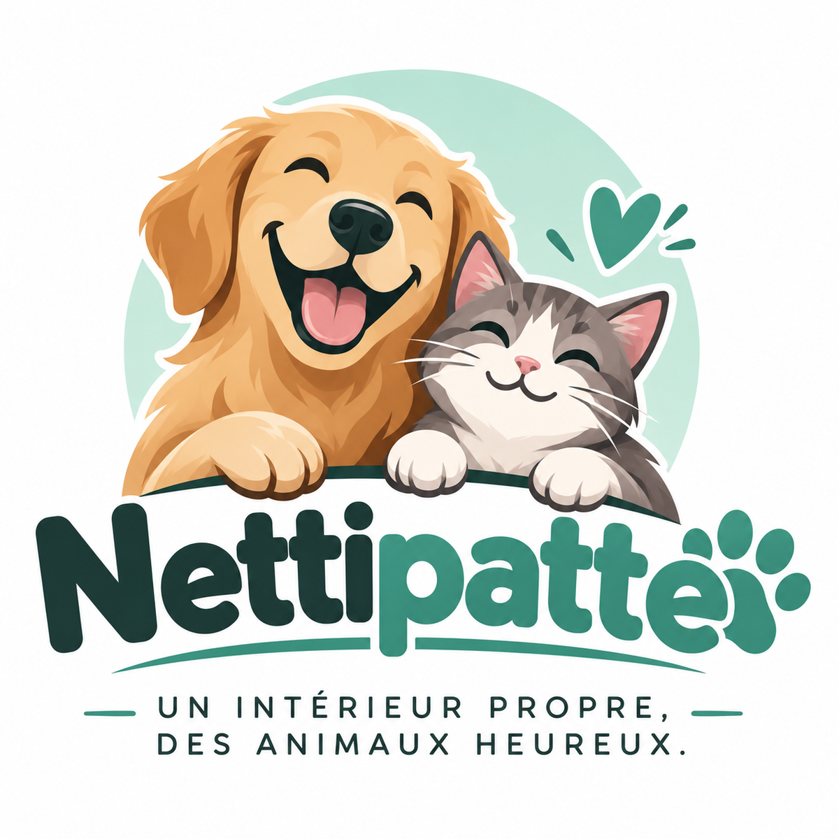 Nettipatte